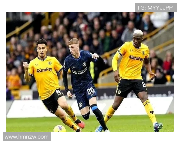 埃弗顿主场迎战狼队争夺英超宝贵积分激战即将上演