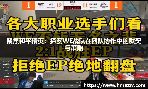 聚焦和平精英：探索WE战队在团队协作中的默契与策略